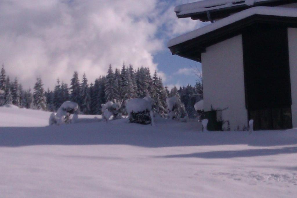 Appartement Seebacher Hochfilzen Exterior foto